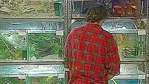 Cheating Wife Dina Pearl in Pet Store Anal Cheating Wife Dina Pearl in Pet Store Anal