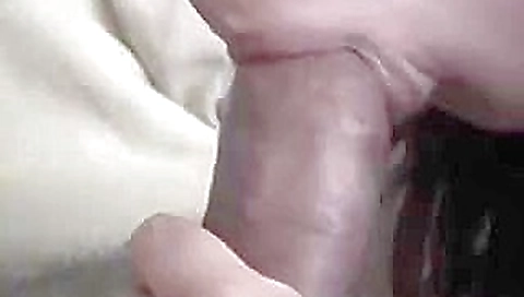 Giving a blowjob to her ex-boyfriend Giving a blowjob to her ex-boyfriend