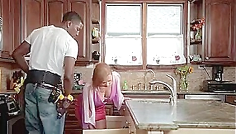 Fucking the Plumber Fucking the Plumber