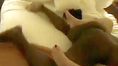 Cuck tapes Wife Breeding with BBC (interracial cuckold) Cuck tapes Wife Breeding with BBC (interracial cuckold)