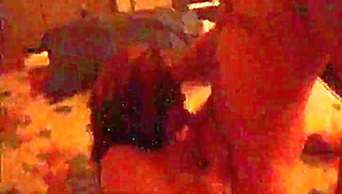 Wife shared with three cocks Wife shared with three cocks