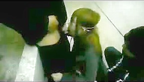 Girlfriend orgy in public toilet Girlfriend orgy in public toilet