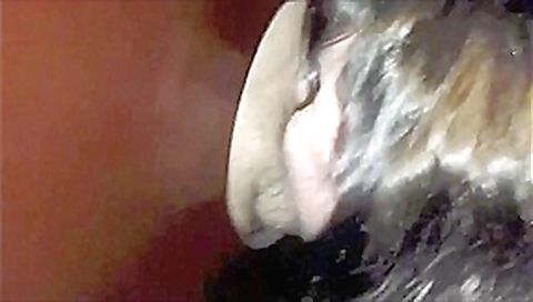 The Ultimate Cum Compilation - 1 The Ultimate Cum Compilation - 1
